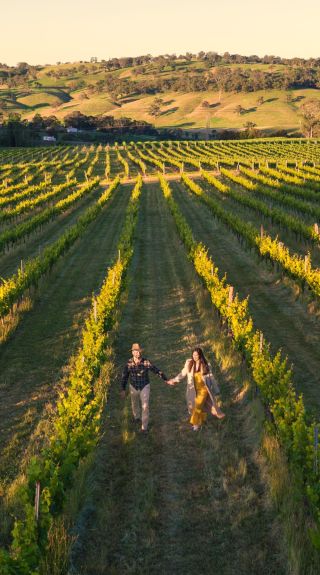 Ross Hill Wines, Orange