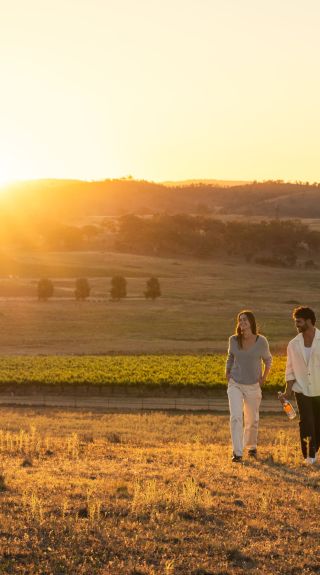 馬奇（Mudgee)的De Beaurepaire 酒莊 - 圖片來源：馬奇（Mudgee)地區旅遊局