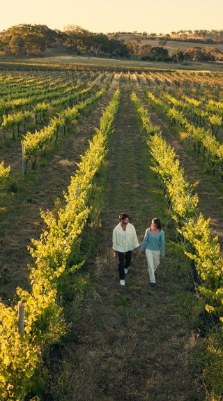 De Beaurepaire Wines, Rylstone