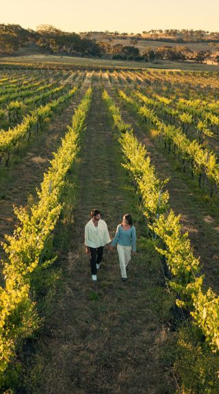 De Beaurepaire Wines, Rylstone