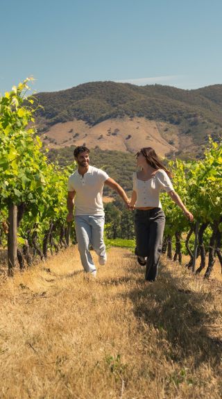 在 Rylstone 的 De Beaurepaire Wines 品酒