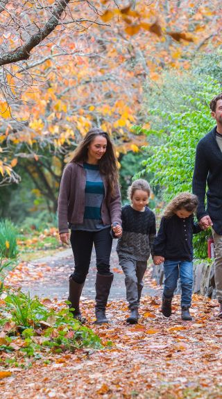 Blue Mountains Botanic Garden, Mount Tomah