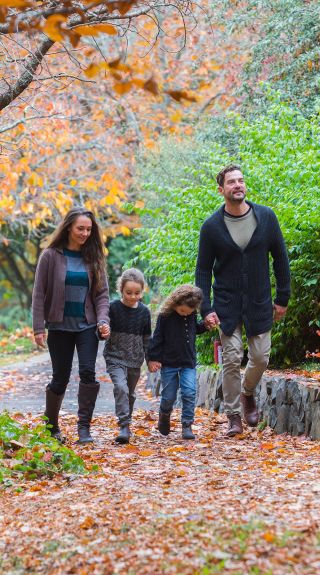 Blue Mountains Botanic Garden, Mount Tomah