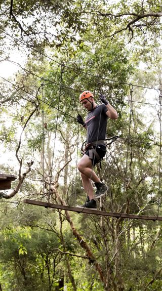 TreeTops, Wyong Creek