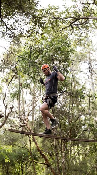 TreeTops, Wyong Creek