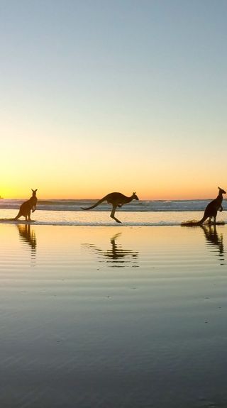 Emerald Beach, Coffs Coast – Bildnachweis: Solitary Islands Surf School