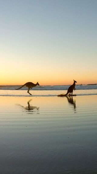 Emerald Beach, Coffs Coast – Bildnachweis: Solitary Islands Surf School
