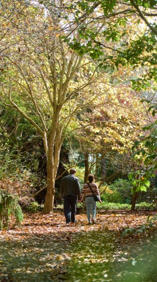 Red Cow Farm - Open Garden, Sutton Forest