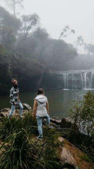 卡靈頓瀑布，布德羅國家公園 (Budderoo National Park）