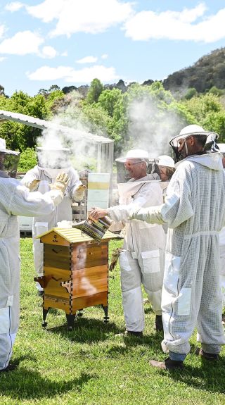 波拉爾養蜂場，博拉爾