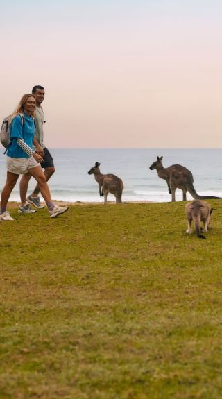 Pebbly Beach, Murramarang National Park