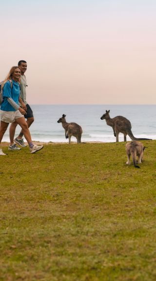Pebbly Beach, Murramarang National Park