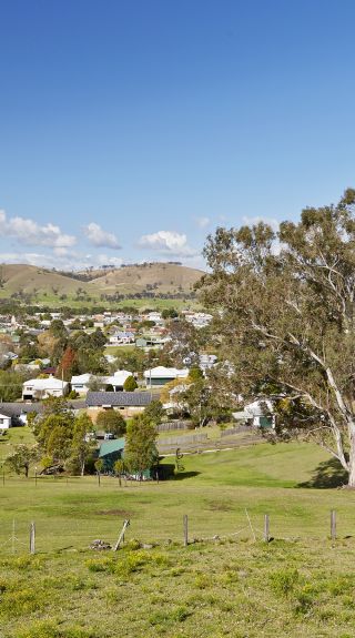 Dungog's surrounding areas, Dungog