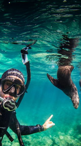Underwater Safaris - Credit: Thurston Photo