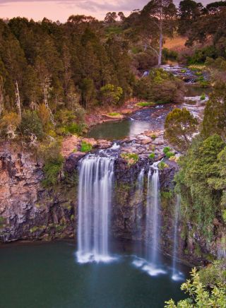 Dangar Falls in Oxley Wild Rivers National Park - Dorrigo