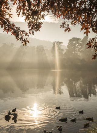 Lake Alexandra Reserve - Mittagong - Southern Highlands