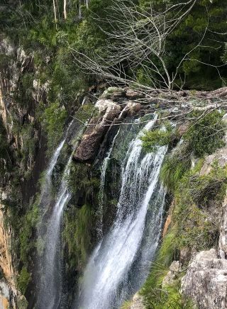 Nightcap Minyon Falls. Image Credit; Sarah Reid