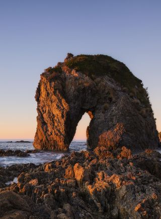 Horse Head Rock - Bermagui - South Coast