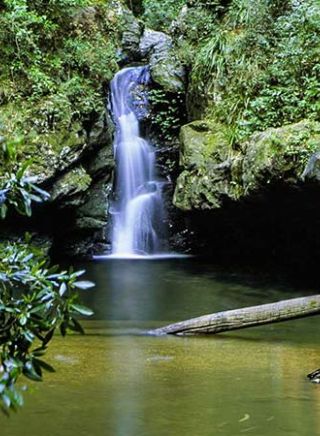 Potoroo Falls at Tapin Tops National Park in Wingham