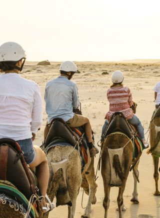 Sunset camel riding experience with in Anna Bay - Port Stephens