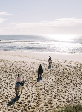 Group enjoying a horse-riding experience along Tyagarah Beach with Zephryr Horses in Byron Bay