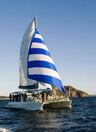 3.5 hours Marine Discovery Cruise with Imagine Cruises in Nelson Bay, Port Stephens