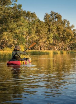 Macquarie Marshes Nature Reserve in Warrumbungle, Country NSW