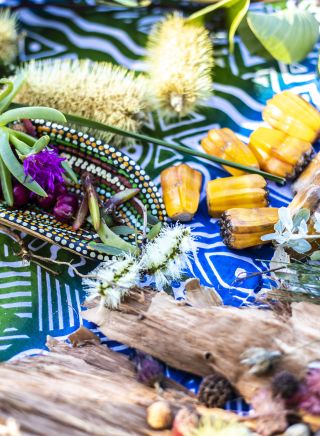 Food sources and medicinal plants shown on an Unkya Cultural Eco Tours at Gaagal Wanggaan (South Beach) National Park, Scotts Head.