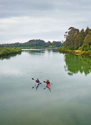 Navigate Expeditions - Bermagui Kayak Tour