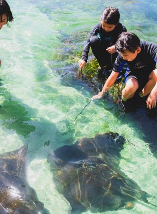 Family enjoying an animal feeding experience at Irukandji Shark and Ray Encounters, Anna Bay