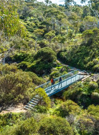 Grand Cliff Top Walk, Wentworth Falls