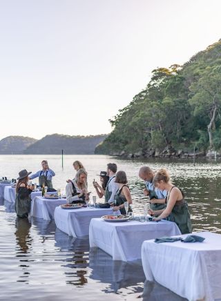 Sydney Oyster Farm Tours, Mooney Mooney