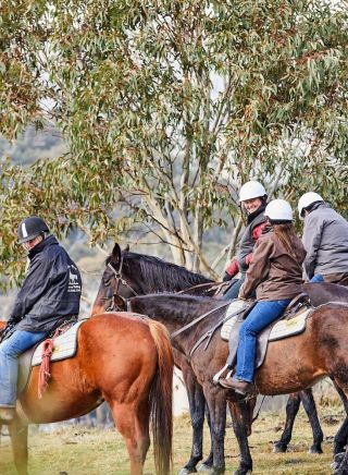 Thredbo Valley Horse Riding, Thredbo Valley, Snowy Mountains