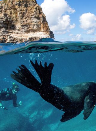 Jervis Bay Sea Sports, Jervis Bay - Credit: Jordan Robins