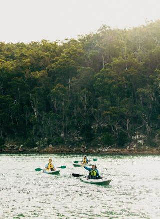 Couple enjoys a Kayak tour with Navigate Expeditions on Pambula River, Merimbula