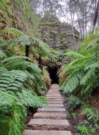 沃尔根谷生态之旅团体游，沃尔根谷