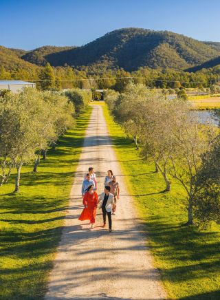 朋友們在獵人谷（Hunter Valley）希望莊園品嚐葡萄酒