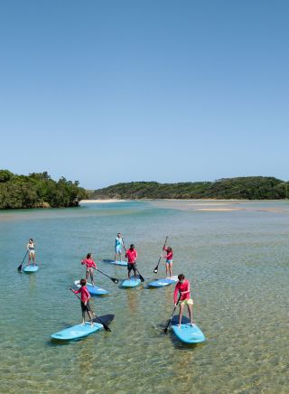 Visitors exploring the area on paddleboards, Wajaana Yaam Adventure Tours, Coffs Harbour