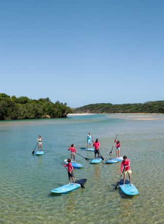 Besucher erkunden die Gegend mit Stand-Up-Paddleboards, Wajaana Yaam Adventure Tours, Coffs Harbour