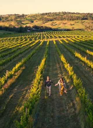 Ross Hill Wines, Orange
