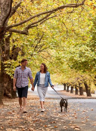 Couple enjoying a walk through tree-lined Sampson Street, Orange