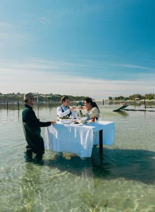 Merimbula Oyster Tours, Merimbula