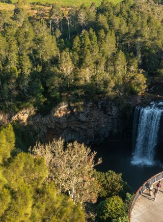 Dangar Falls, Dorrigo