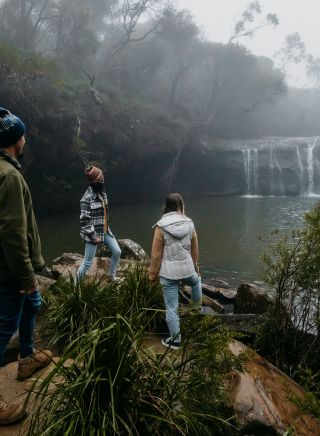三個朋友在卡靈頓瀑布散步，布德羅國家公園 (Budderoo National Park） 