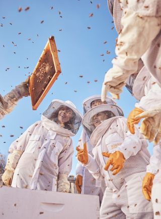 People learning about beekeeping at Bowral Beekeeping, Bowral