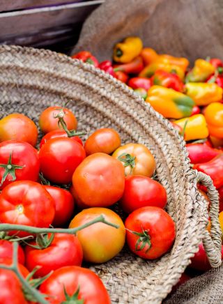 Tomaten auf den Bauernmärkten von Byron Bay Byron Bay