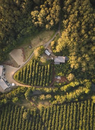 Aerial view of grounds, Cape Byron Distillery, Mcleods Shoot