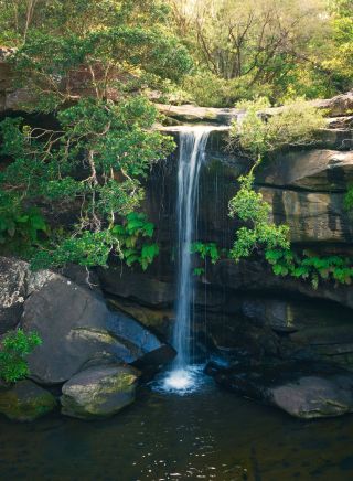 Waterfall, Girrakool Loop Track, Kariong