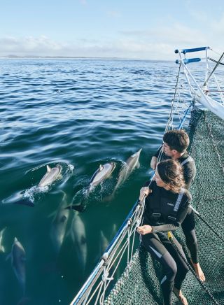Couple enjoys a dolphin cruise and swim experience, Dolphin Swim Australia, Port Stephens