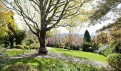 Blue Mountains Botanic Garden - Mount Tomah